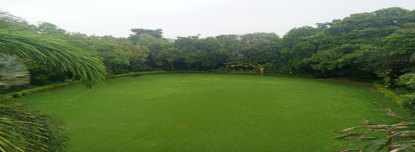Overview